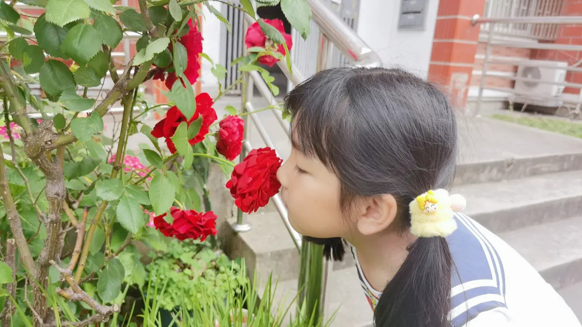 B612Kaji_20240525_162053_745.jpg